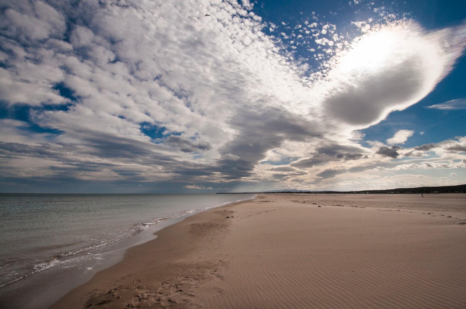 Sandee Plage Du Creneau Naturel