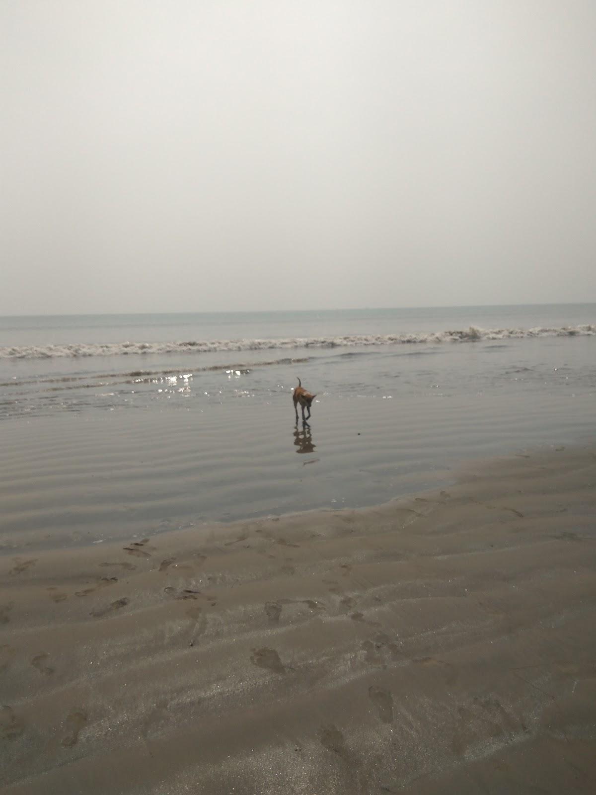 Sandee Chandpur Sea Beach