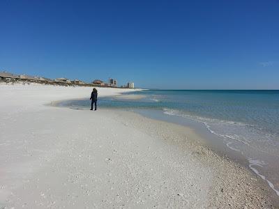 Sandee - Pensacola Dog Beach West