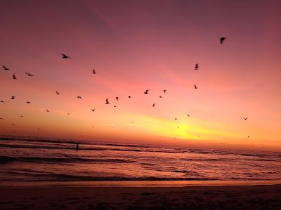 Sandee - Praia Da Cornelia