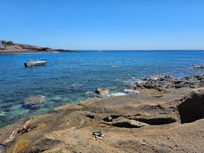 Sandee - Playa Del Puertito De Adeje