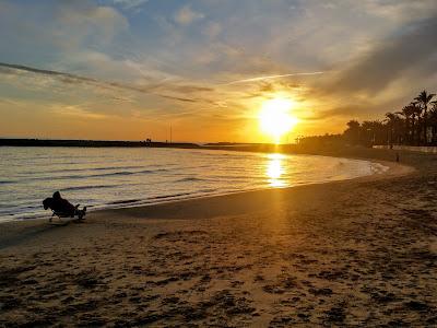 Sandee - Platja Llarga D'Ibersol