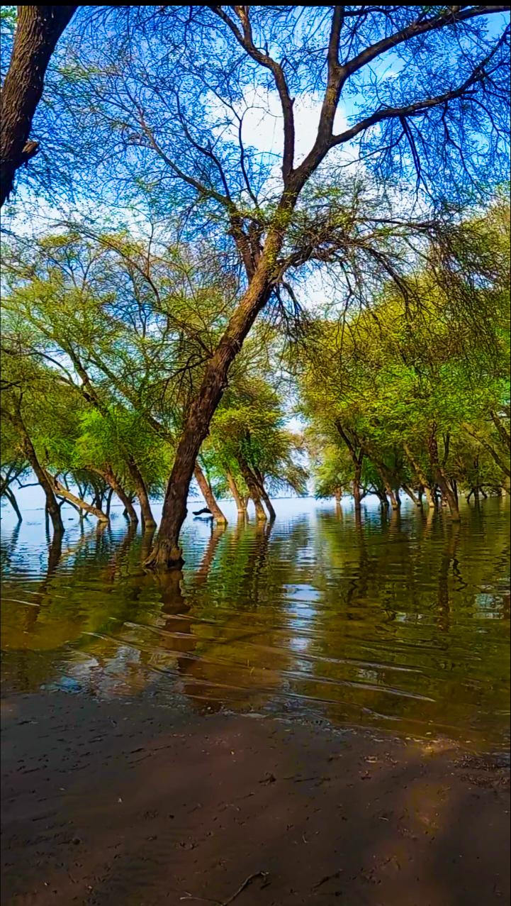 Sandee - Country / Kassala