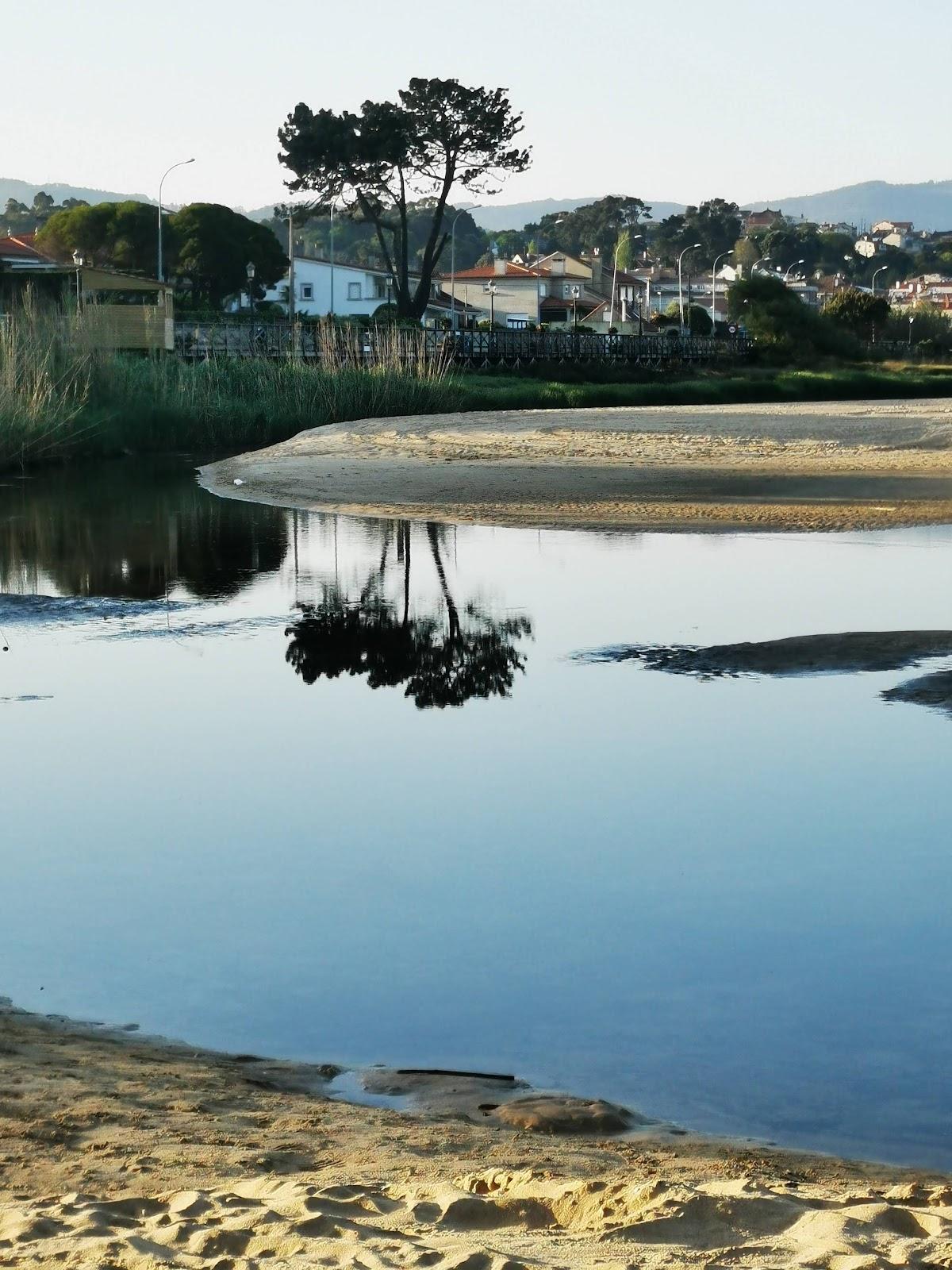 Sandee Ecosistema Dunar Praia America Panxon