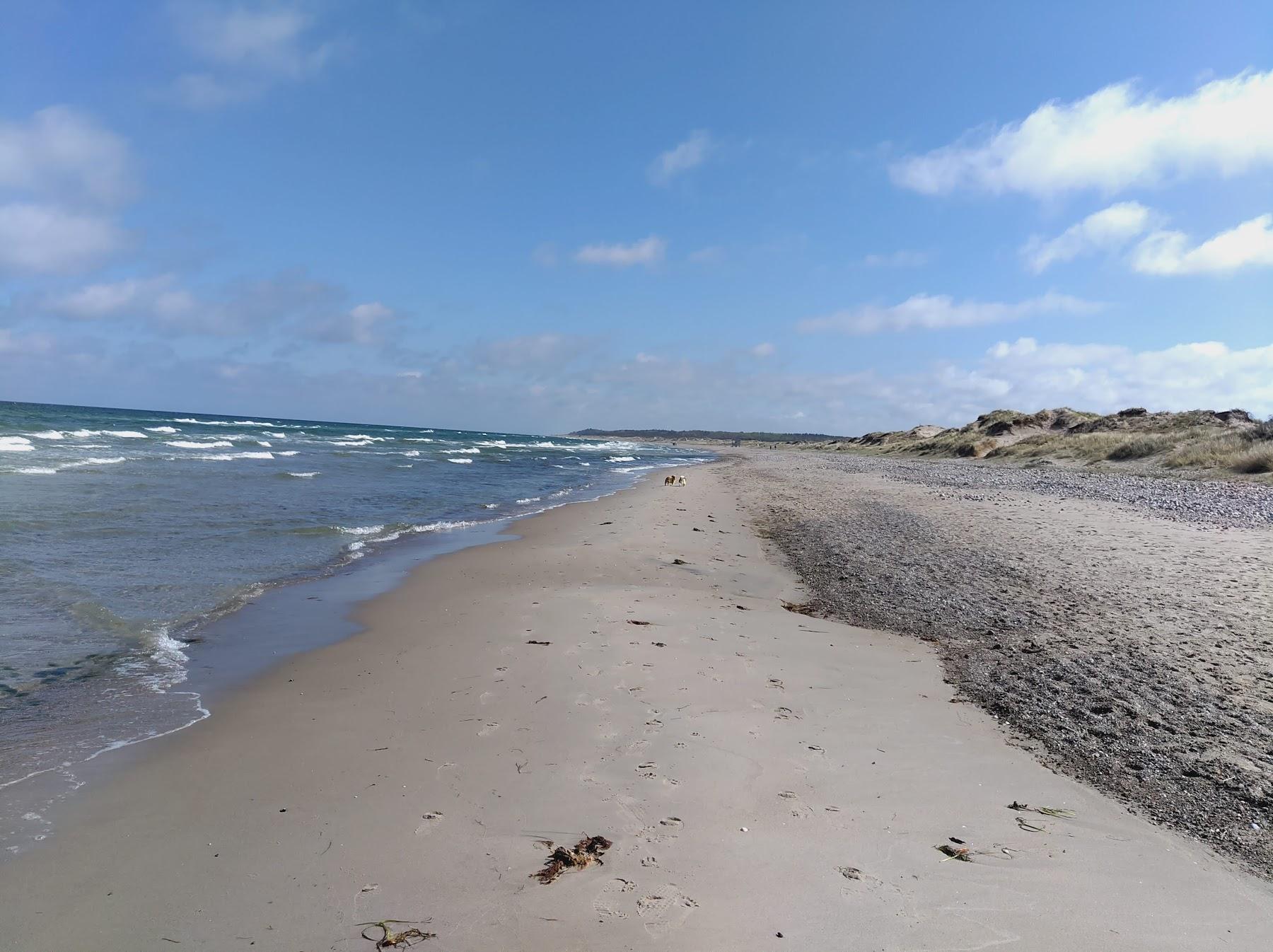 Sandee Tisvildeleje Beach Photo