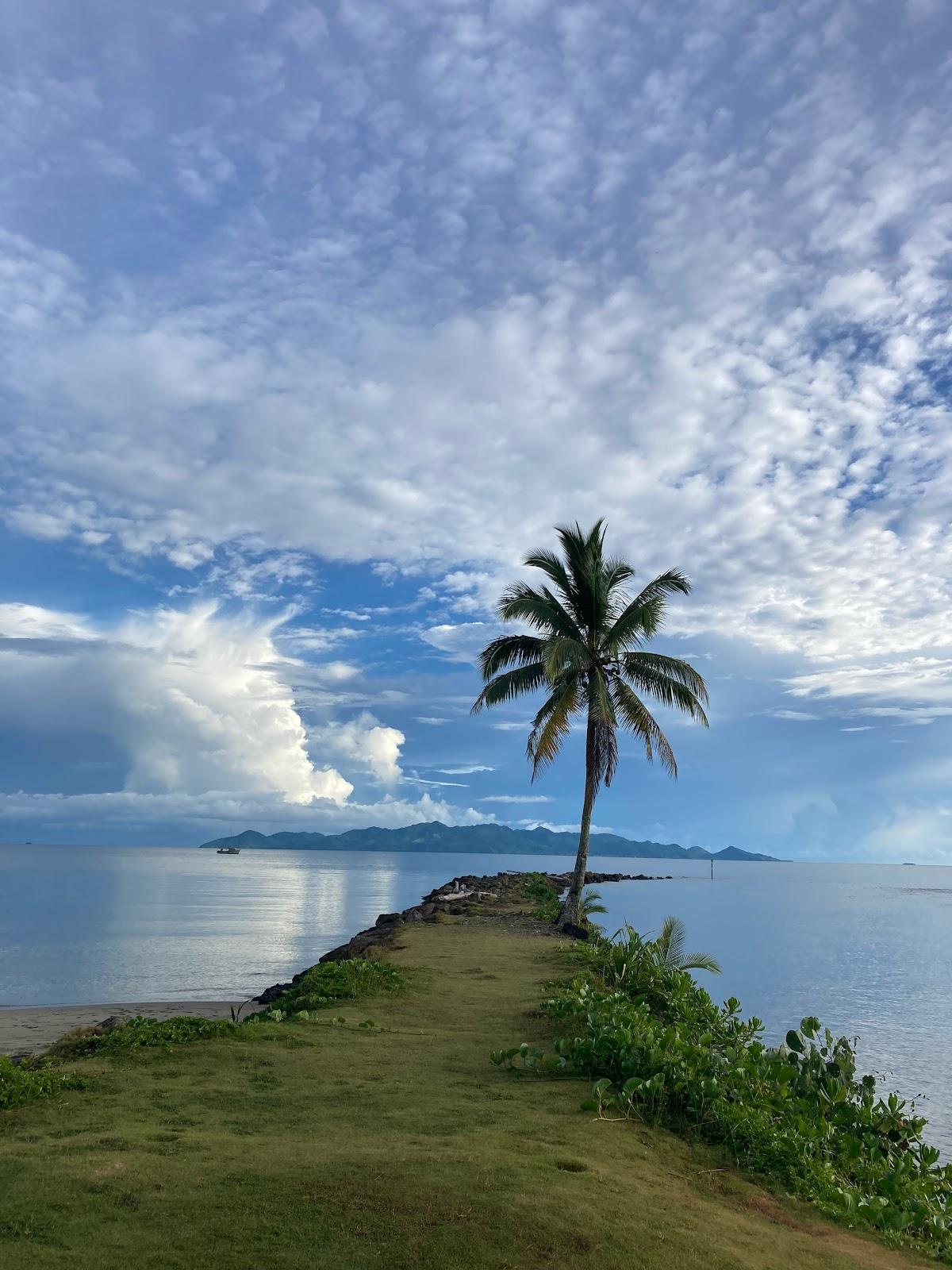 Sandee Pacific Harbour Local Beach