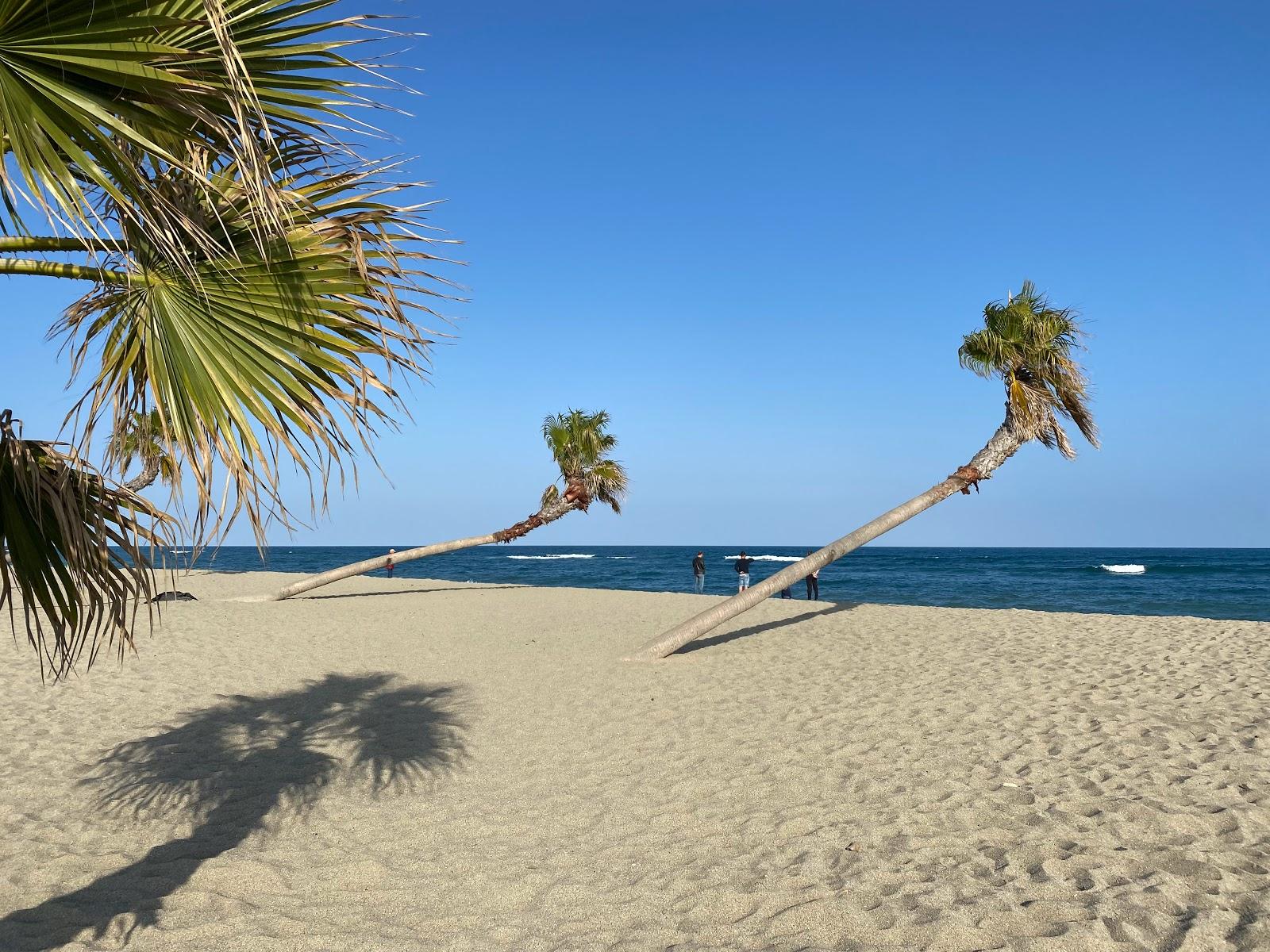 Sandee Plage Du Village Sud