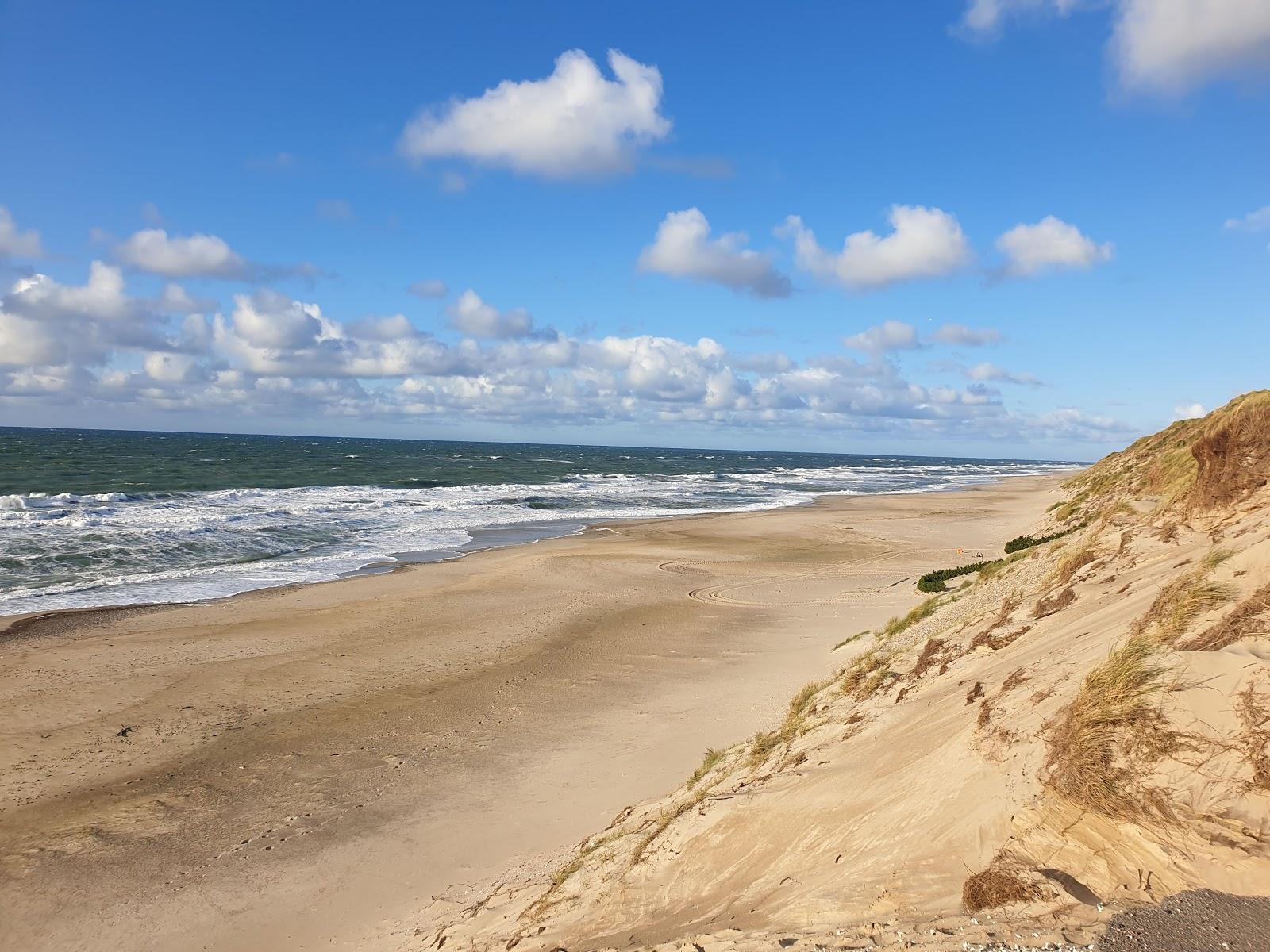 Sandee Lyngby Beach Photo