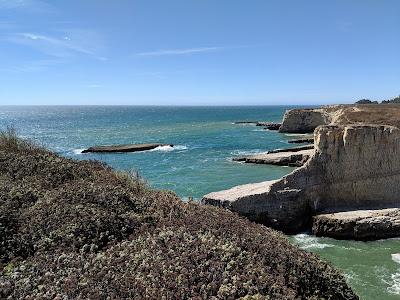 Sandee - Coast Dairies State Park - Scott Creek Beach