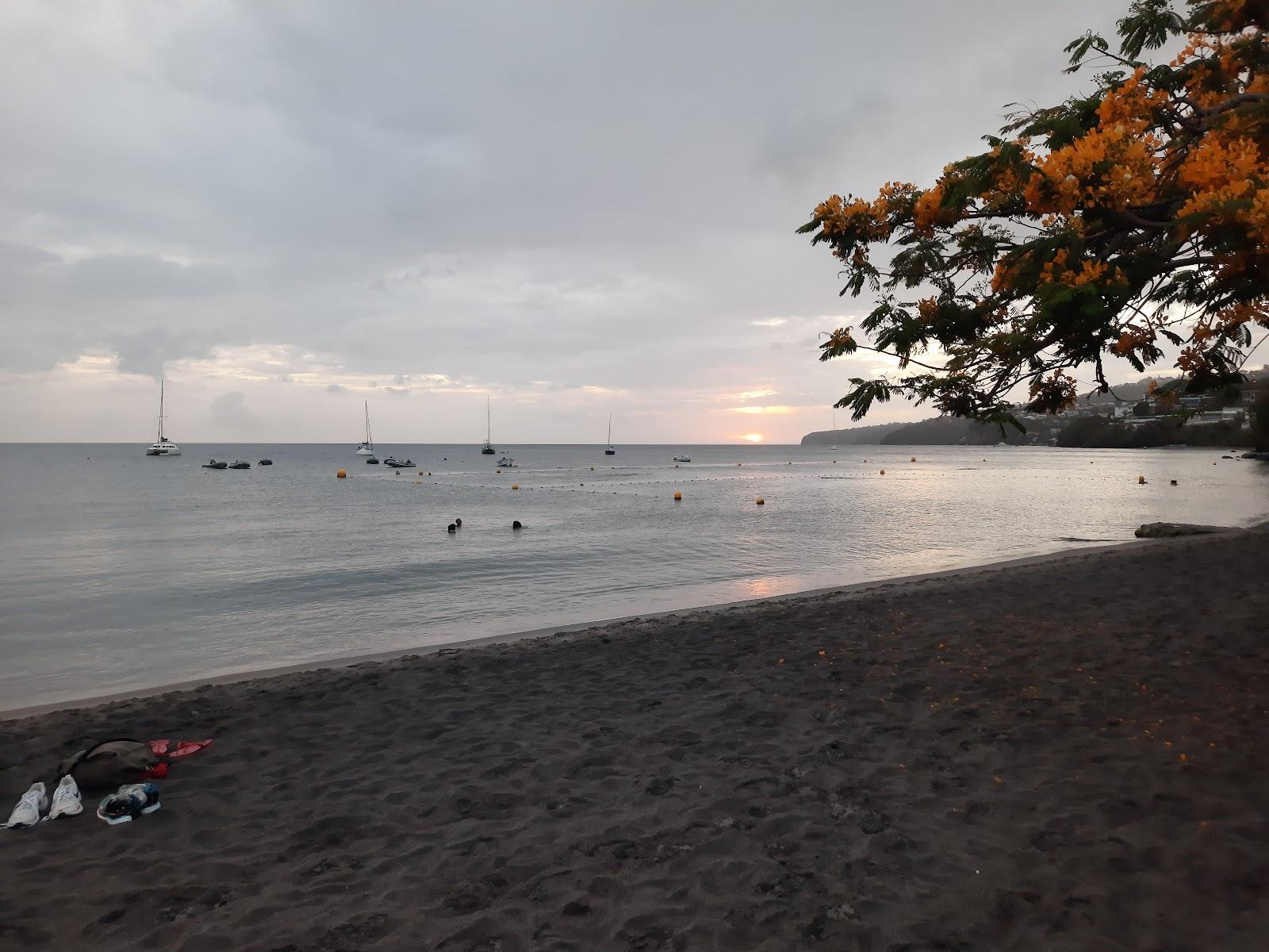 Sandee Plage De L'Anse Madame Photo