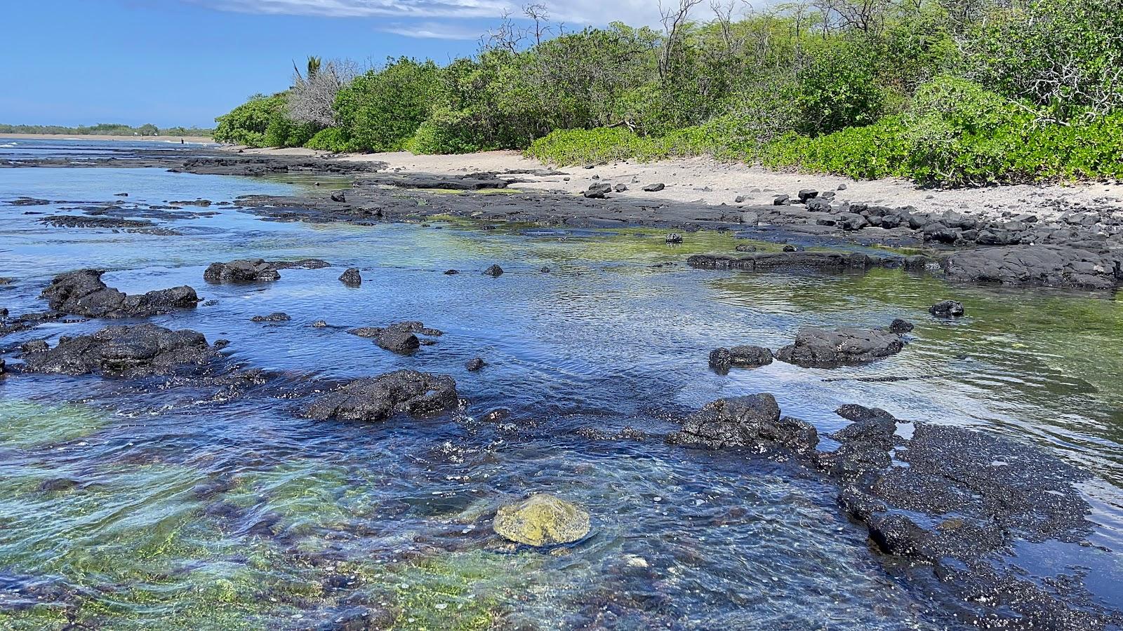 Sandee - Honokohau Bay Beach