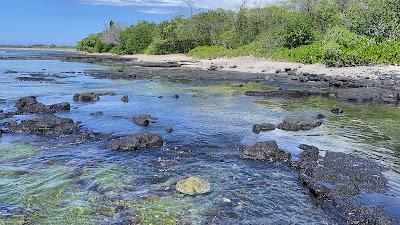 Sandee - Honokohau Bay Beach