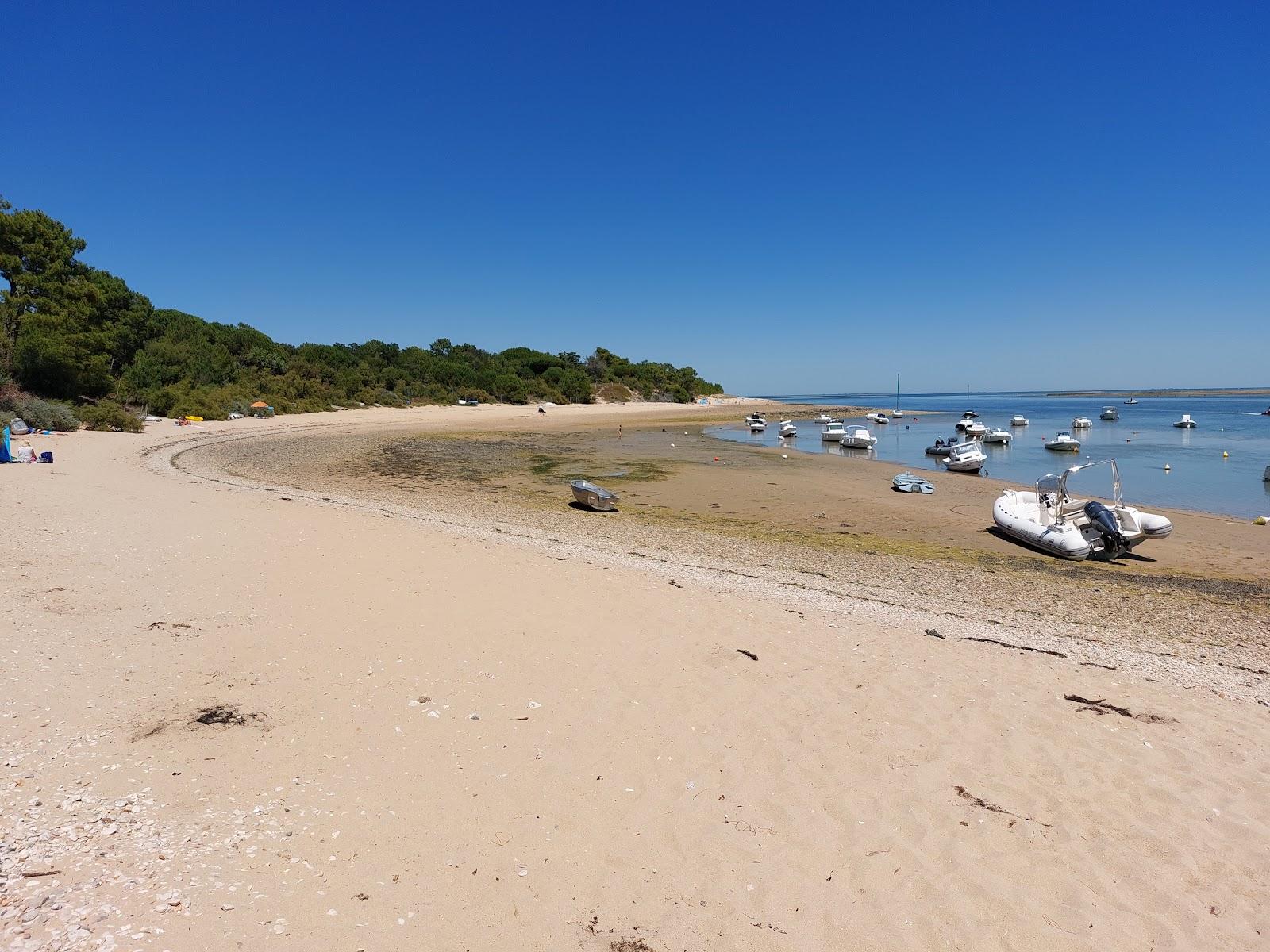 Sandee Plage De La Patache Photo