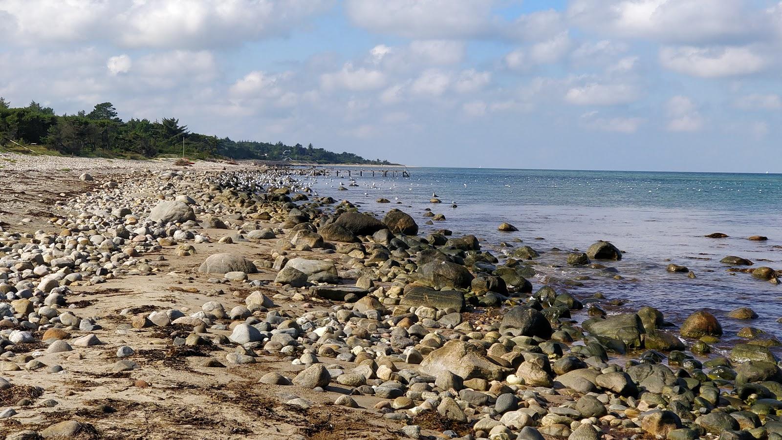 Sandee Smidstrup Strand