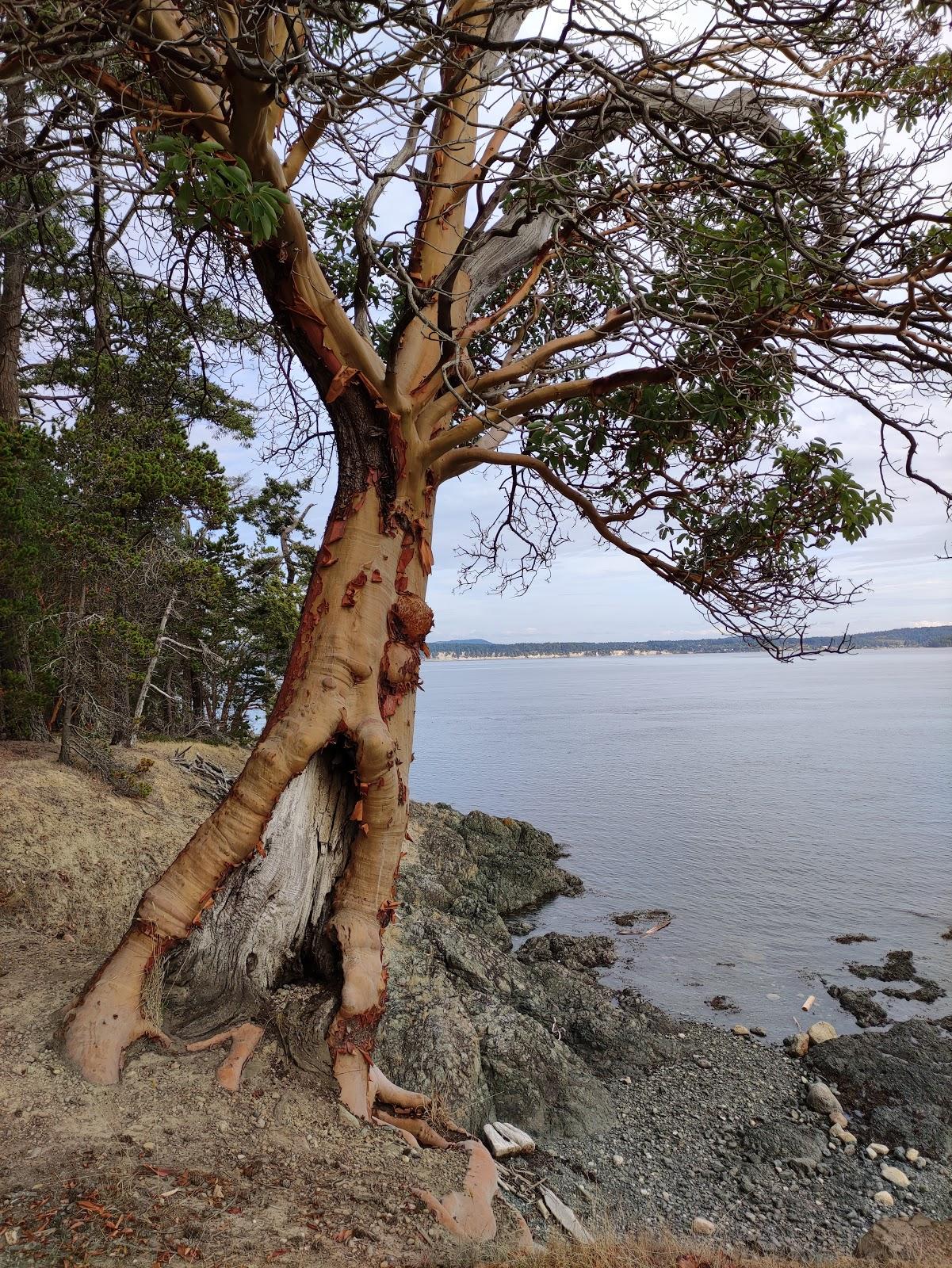 Sandee - Turn Island State Park