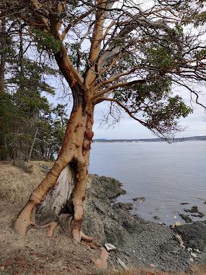 Sandee - Turn Island State Park