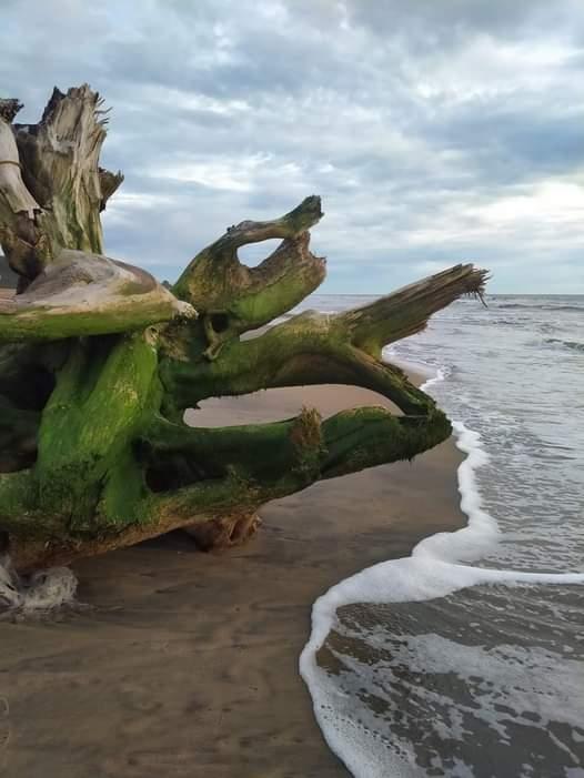 Sandee - Nalamkallu Beach