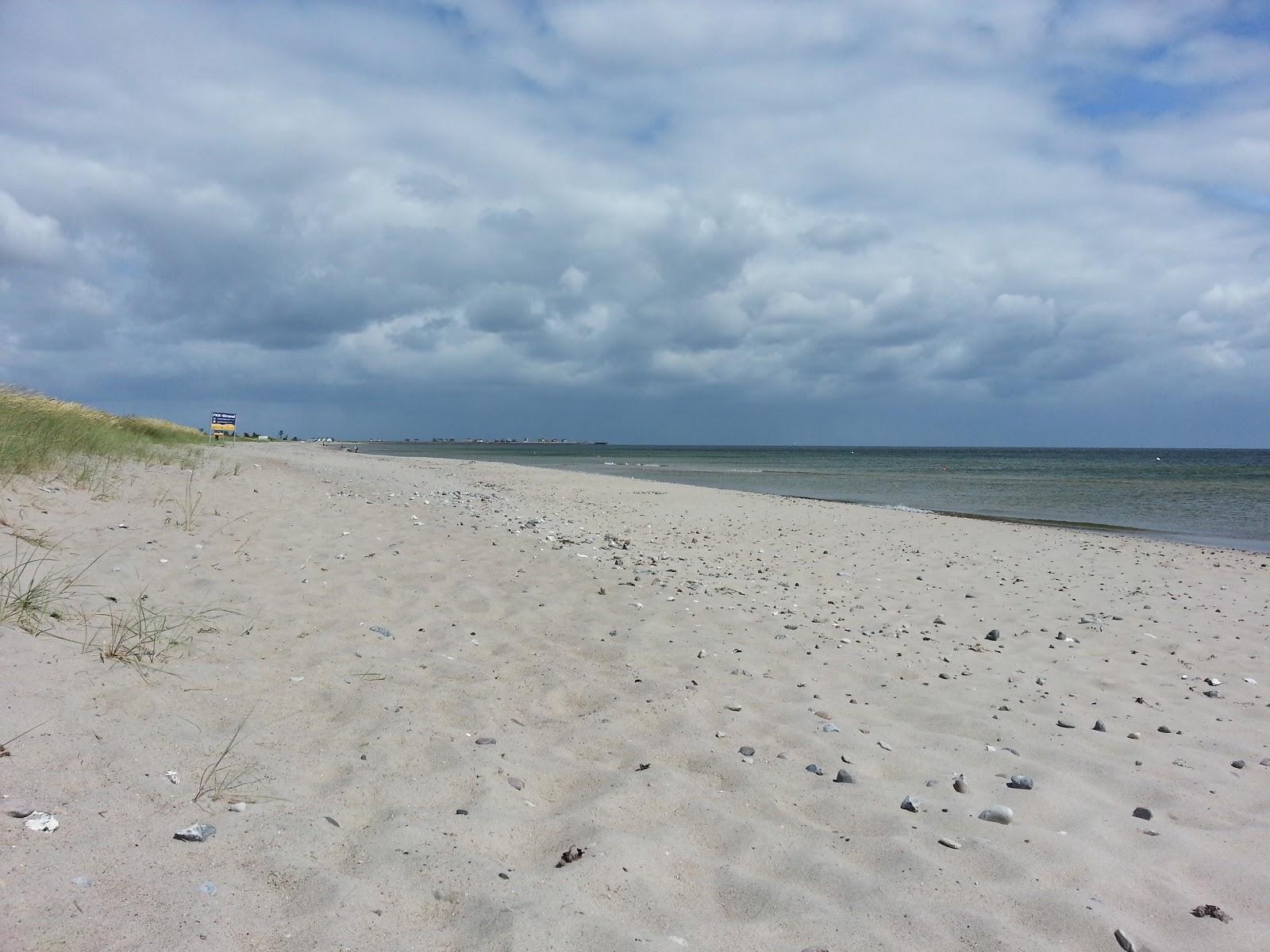 Sandee Fkk Strand Schonhagen