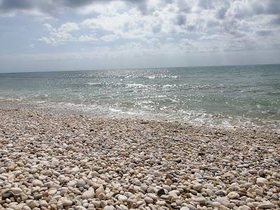 Sandee - Spiaggia Oasi Village