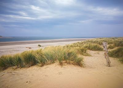 Sandee - Sondonia Beach