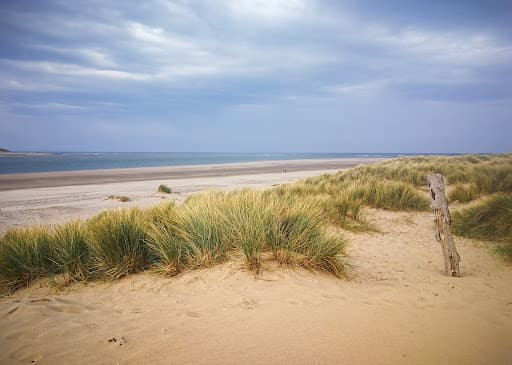 Sandee Sondonia Beach Photo