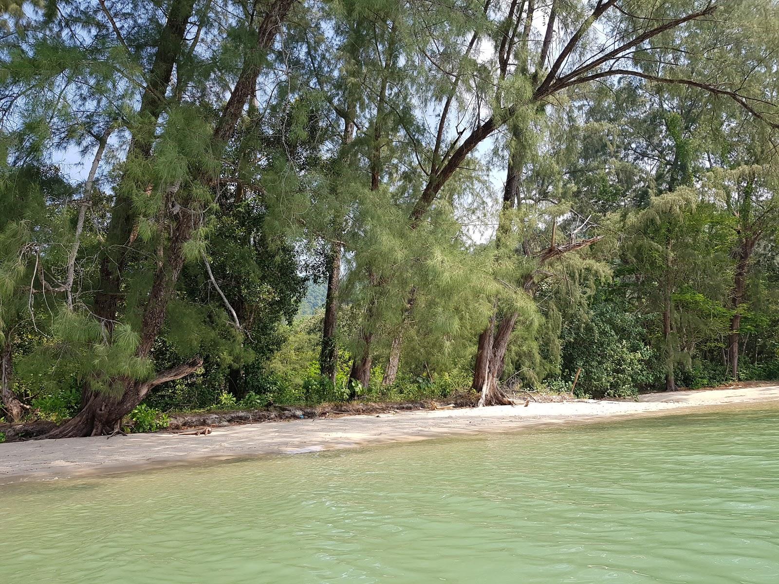 Sandee Son Bay Beach
