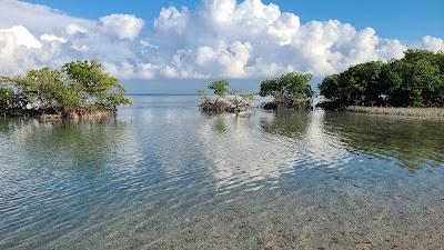 Sandee - Boca Chita Key