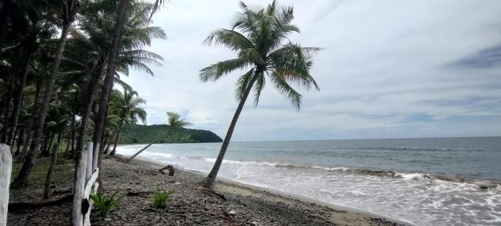 Sandee Gevela's Beach