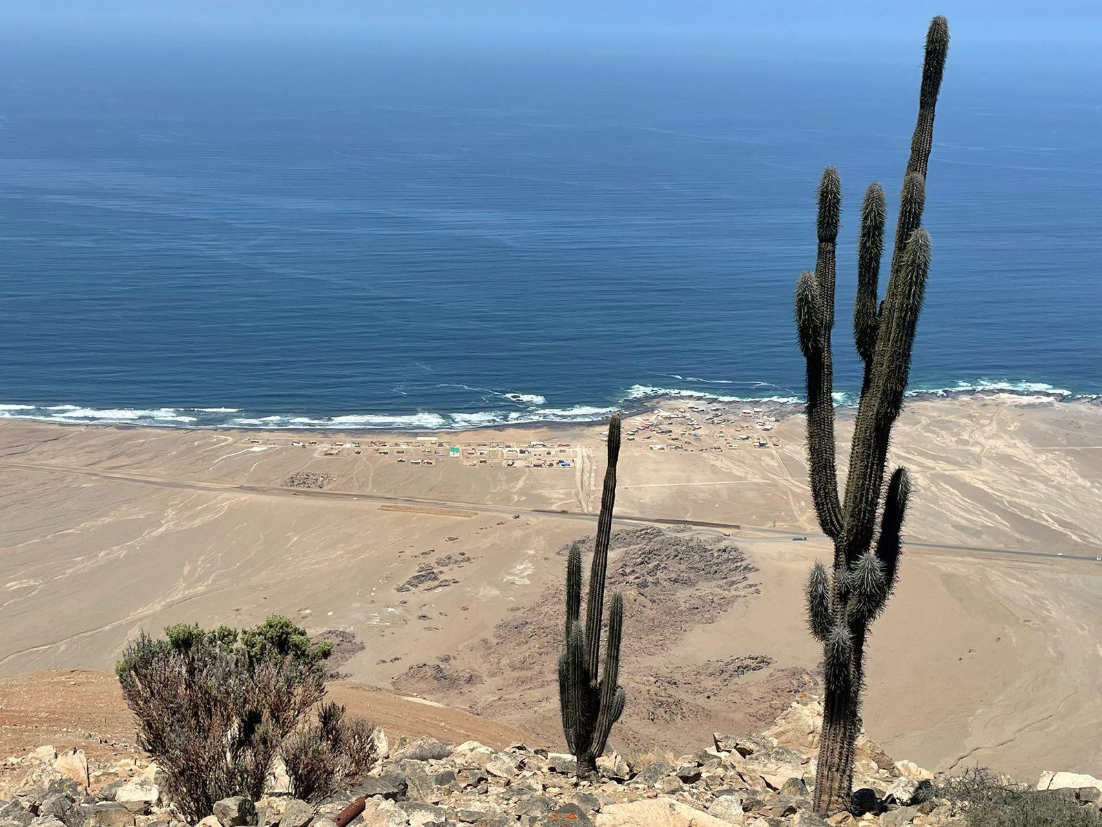 Sandee Playa De Las Mulas Photo