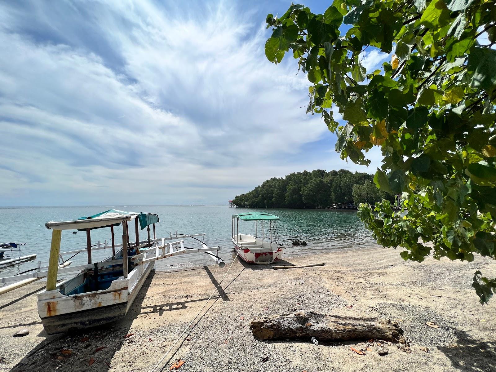 Sandee Jembatan Wisata Mangrove Trans Pato'A Photo