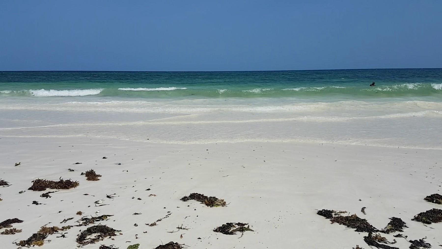 Sandee Baobab Public Beach Kilifi Photo