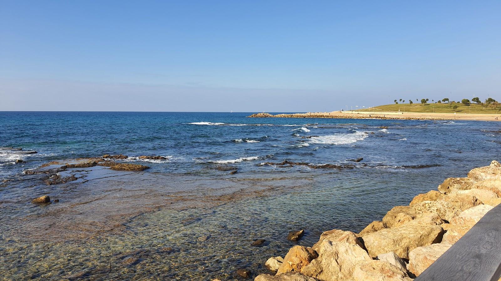 Sandee Midron Yaffo Park