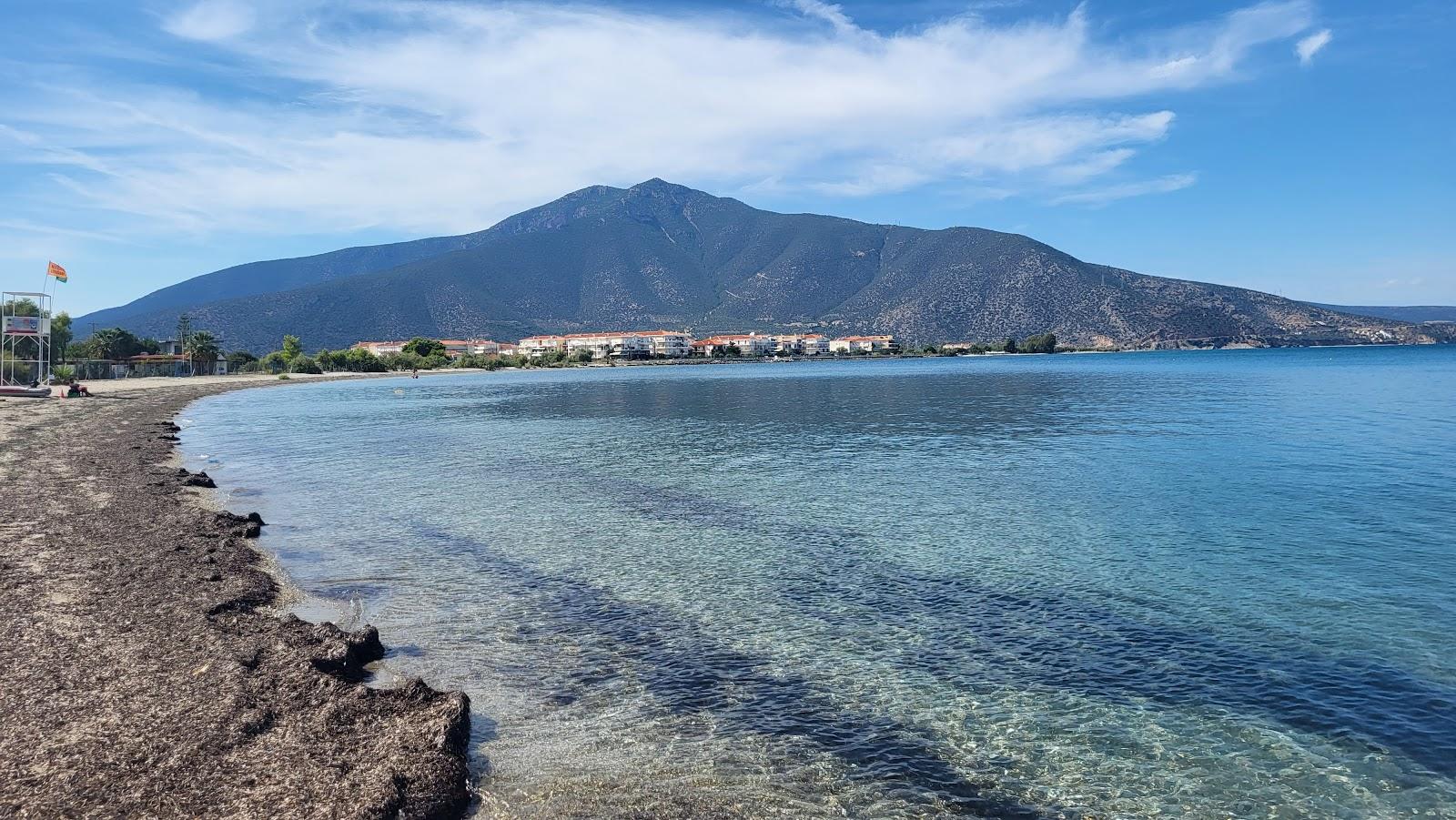 Sandee Atsiganos Beach
