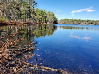 Sandee - Rutland State Park Beach