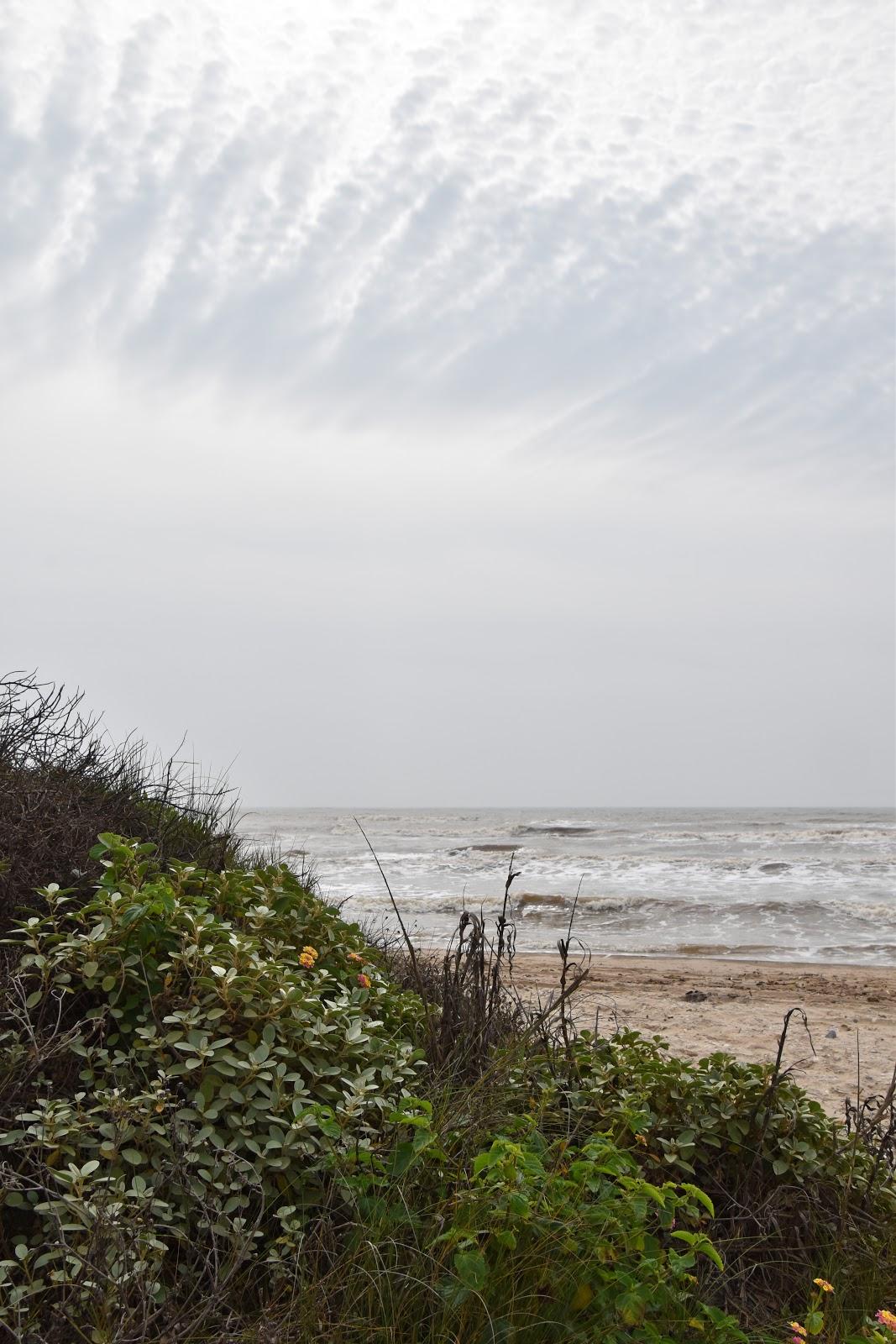 Sandee - Sargent Beach