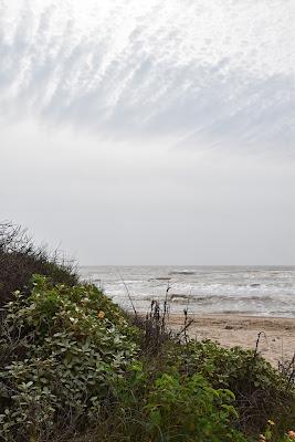 Sandee - Sargent Beach