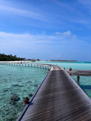 Sandee - Moofushi Island