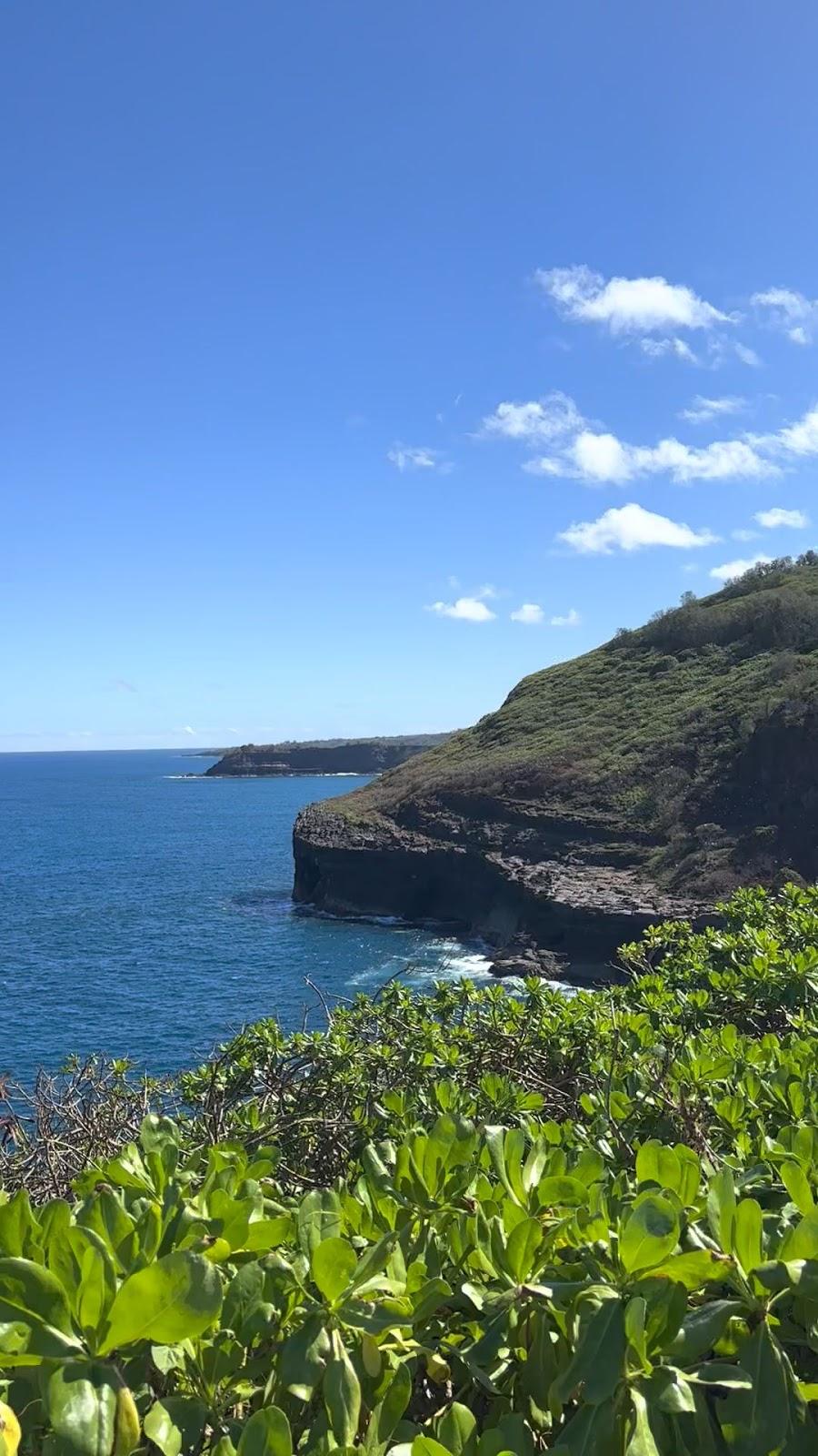 Sandee - Kilauea Point