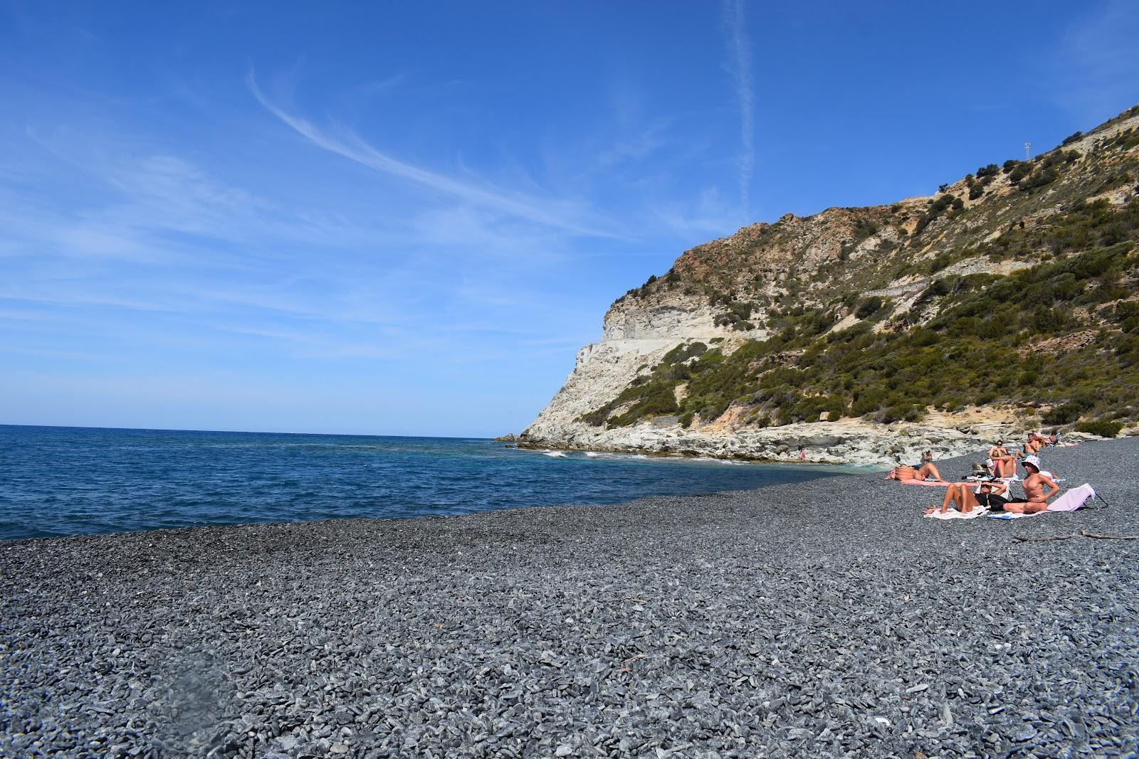 Sandee Plage De Barcaggio