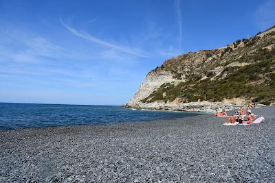 Sandee - Plage De Barcaggio