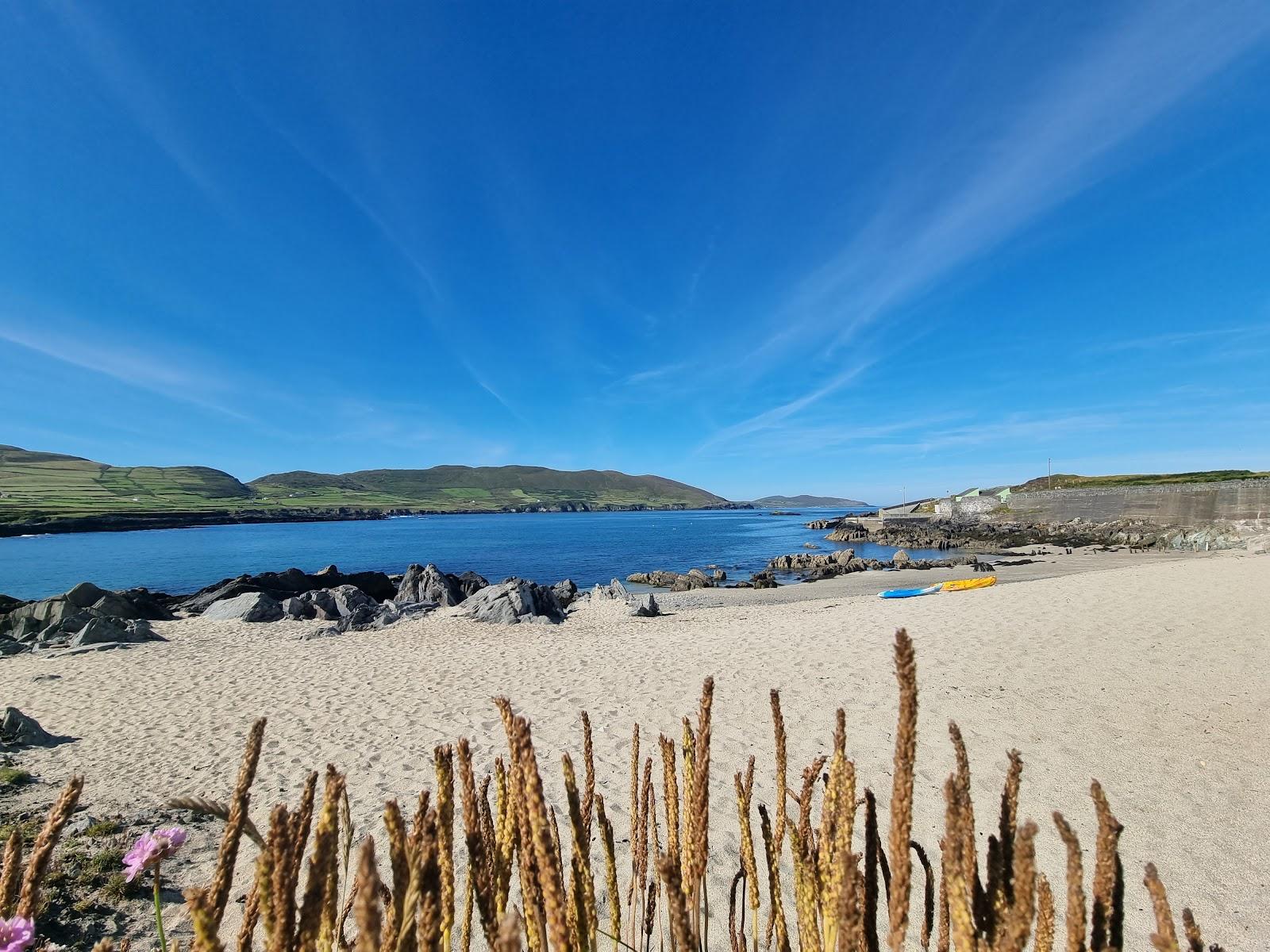 Sandee South Allihies Bay Beach