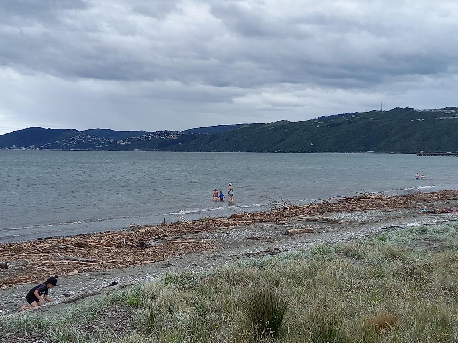 Sandee Petone Beach