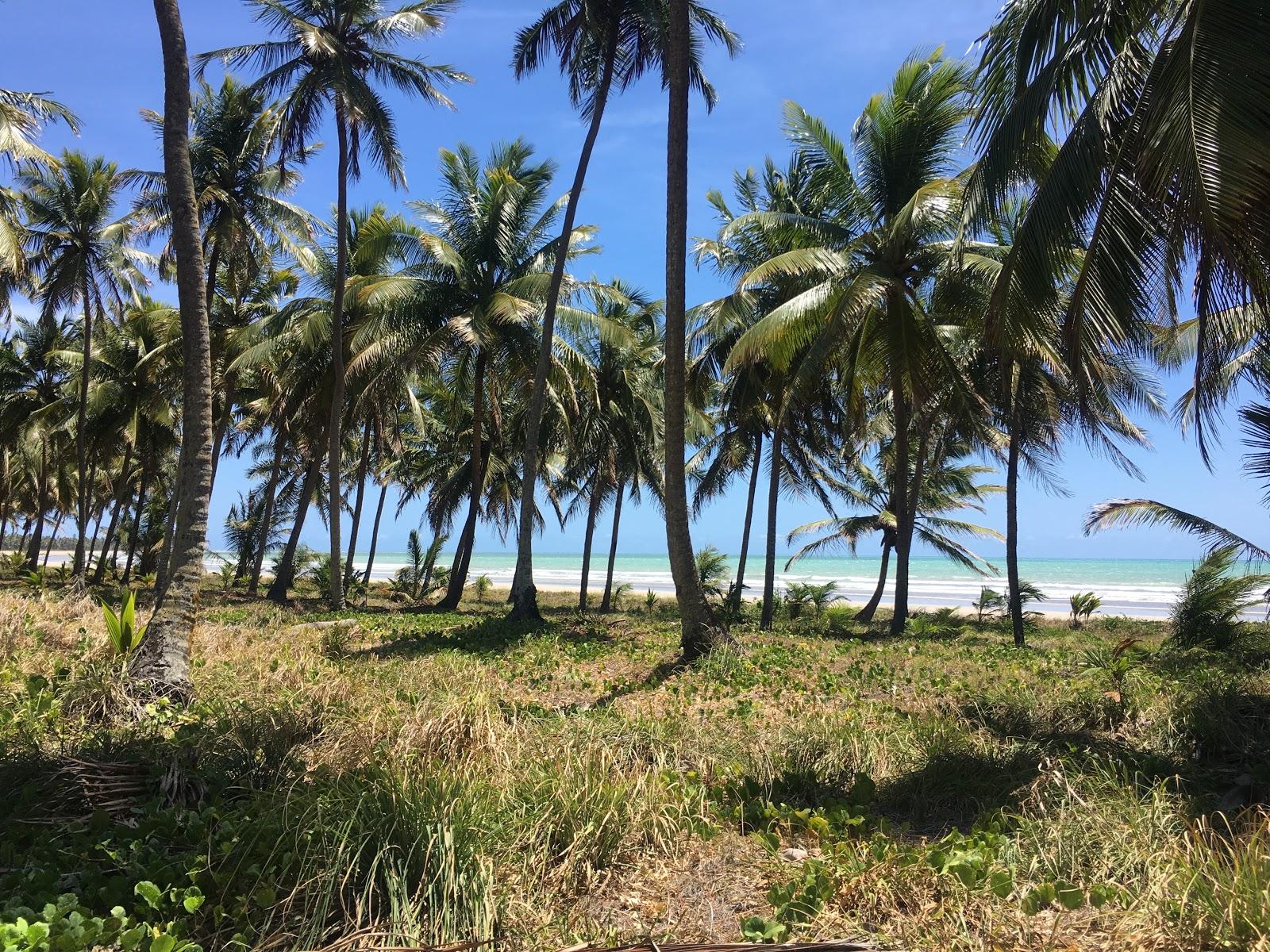 Sandee Praia Morros De Camaragibe
