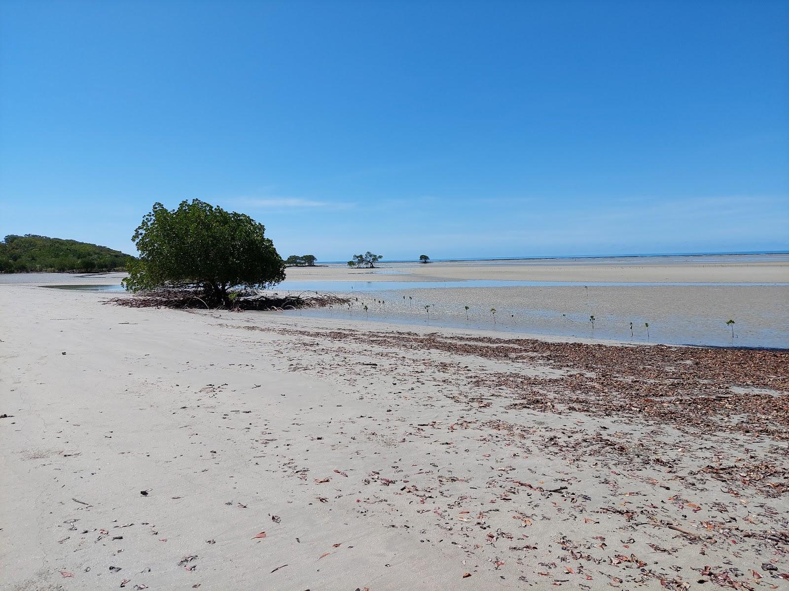 Sandee Cowie Beach