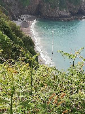 Sandee - Plage De Beg Hastel