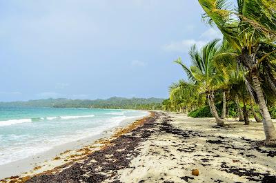 Sandee - Playa El Rincon