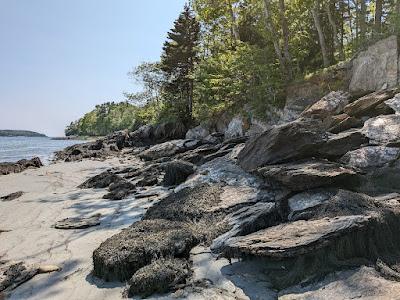 Sandee - Cushman's Beach