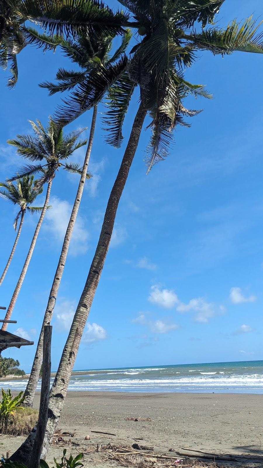 Sandee - Kamuning Beach