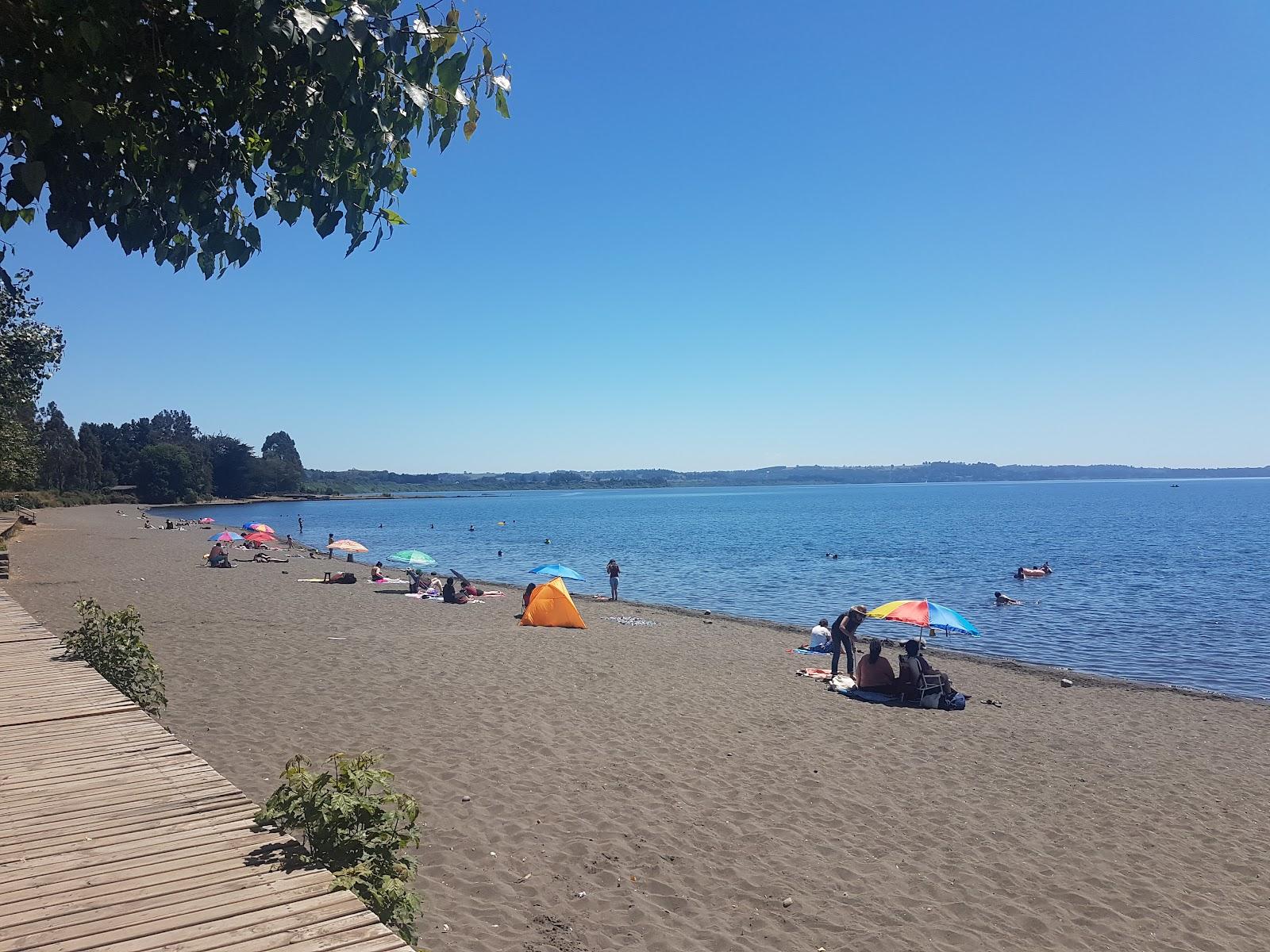 Sandee Playa Wiehoff