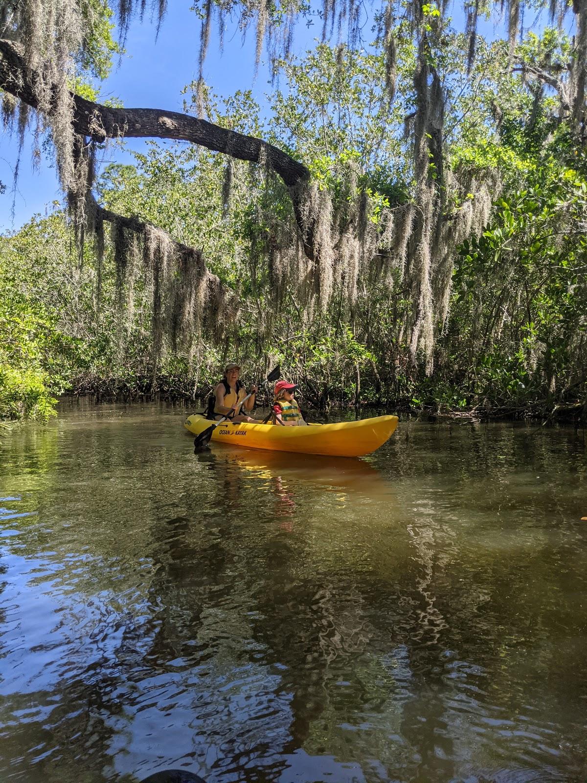 Sandee - Oscar Scherer State Park Beach